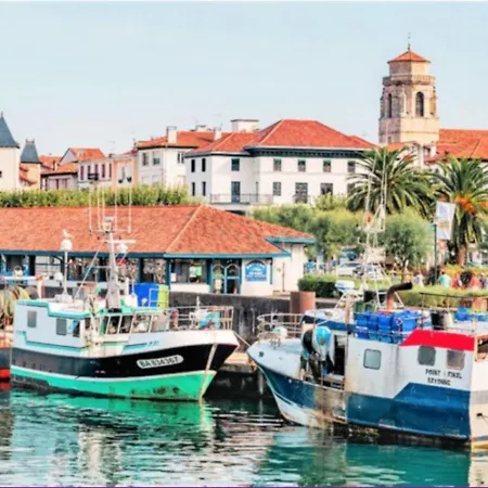 Luxueux Centre-ville, A 50m De La - Fr-1-4-675 Saint-Jean-de-Luz